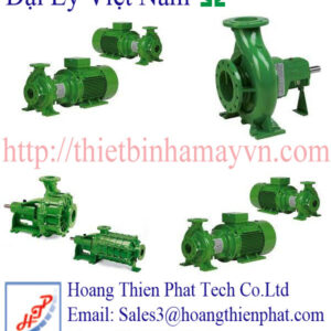 Rovatti Pumps in Vietnam