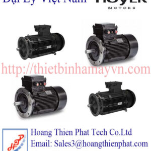 Động cơ điện IE4 Hoyer