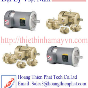Động cơ Baldor Việt Nam