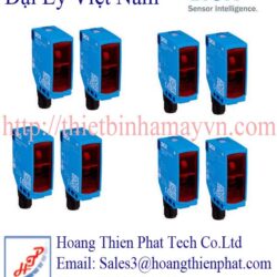 Đầu đò sick tại Việt Nam