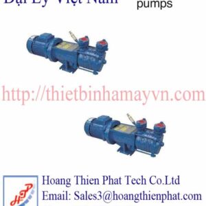 Azcue Pumps Việt Nam