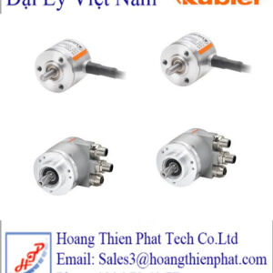 Động cơ hướng trục WEG
