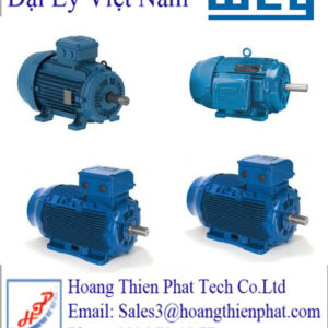 Động cơ bánh răng côn xoắn ốc WEG