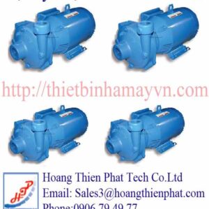 Bơm pittons Burks