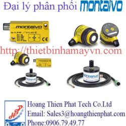 Montalvo tại Việt Nam