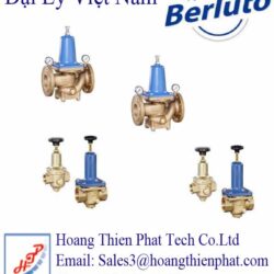 Berluto valves