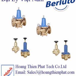 Berluto valves