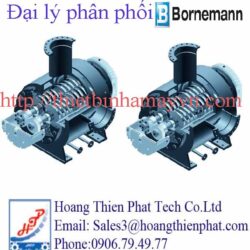 Bornemann pumps