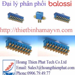 Balossi Việt Nam