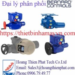 Động cơ BERNARD