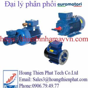 Động cơ Euromotori