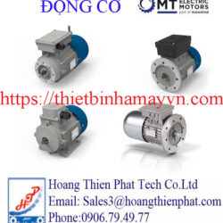 Động cơ điện MT Motori Elettrici